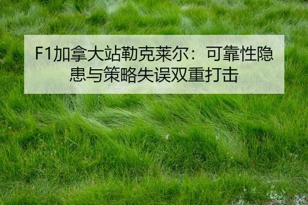 jia-na-da-zhan-lei-ke-lai-er-ke-kao-xing-yin-huan-yu-ce-lve-shi-wu-shuang-chong-da-ji-2-594.jpg